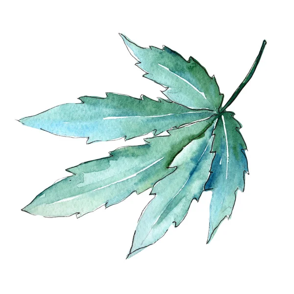 수채화 스타일 절연 대마초 잎. — 스톡 사진