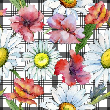 Kır çiçeği papatya çiçek deseni suluboya tarzında.