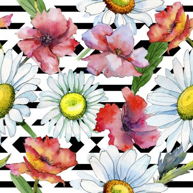 Kır çiçeği papatya çiçek deseni suluboya tarzında.