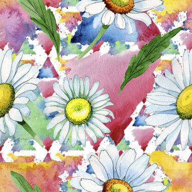 Kır çiçeği papatya çiçek deseni suluboya tarzında.