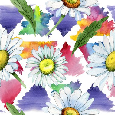 Kır çiçeği papatya çiçek deseni suluboya tarzında.