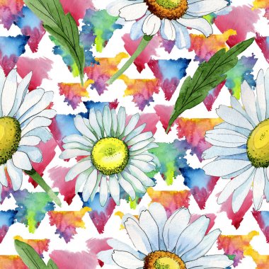 Kır çiçeği papatya çiçek deseni suluboya tarzında.