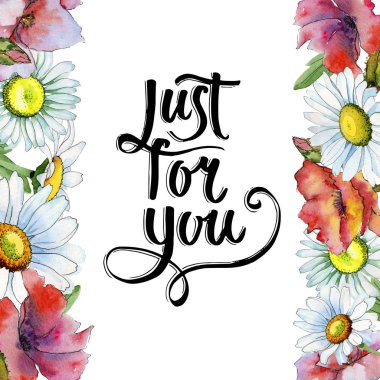 Kır çiçeği papatya çiçek çerçeve suluboya tarzında.