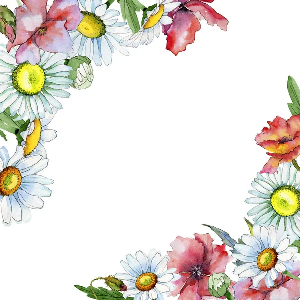 Moldura de flor de camomila de flores silvestres em um estilo aquarela . — Fotografia de Stock