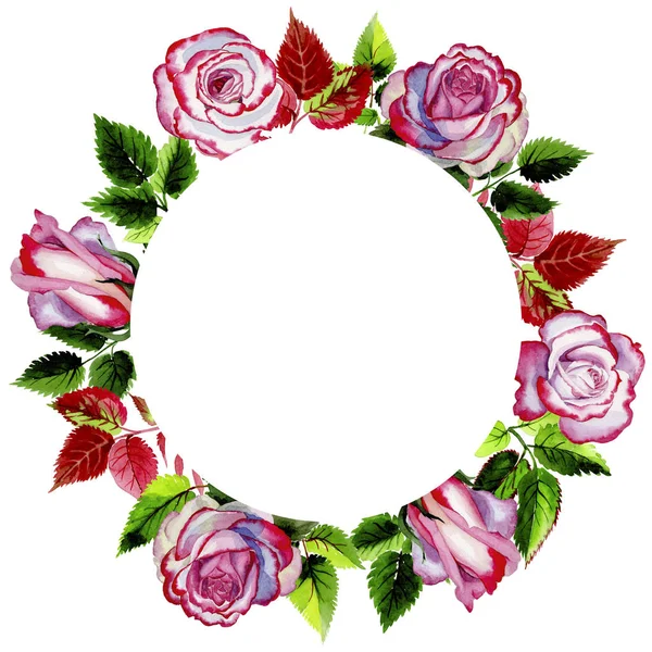 Leaves of rose wreath in a watercolor style. — Stock Photo, Image