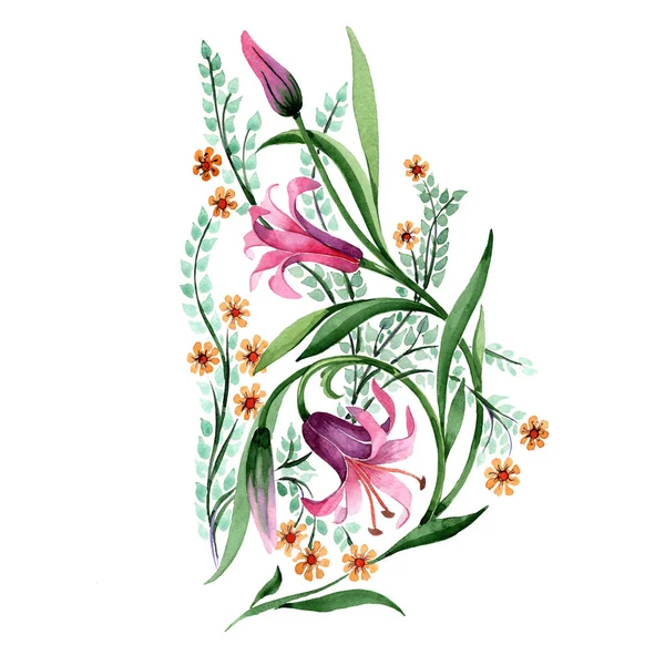 Flor ornamento Wildflower em um estilo aquarela isolado . — Fotografia de Stock