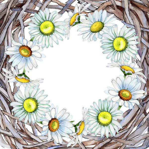 Wildflower chamomile flower frame in a watercolor style. — Stock Photo, Image