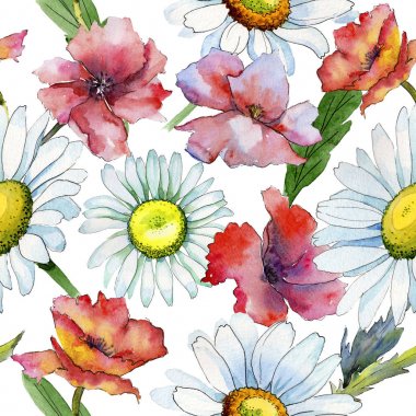 Kır çiçeği papatya çiçek deseni suluboya tarzında.