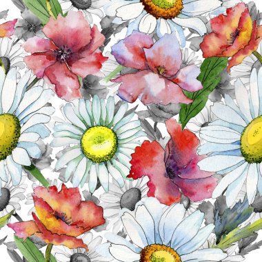 Kır çiçeği papatya çiçek deseni suluboya tarzında.