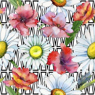 Kır çiçeği papatya çiçek deseni suluboya tarzında.