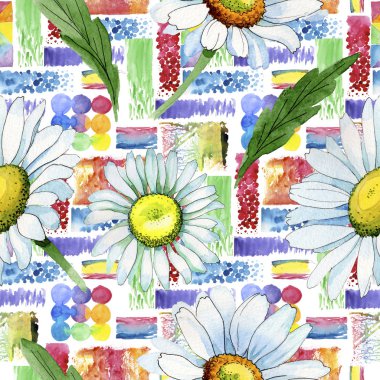 Kır çiçeği papatya çiçek deseni suluboya tarzında.