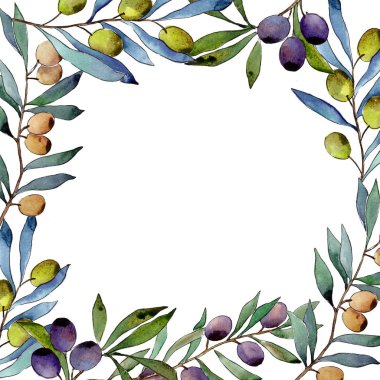 Zeytin ağacı çerçeve suluboya tarzında.