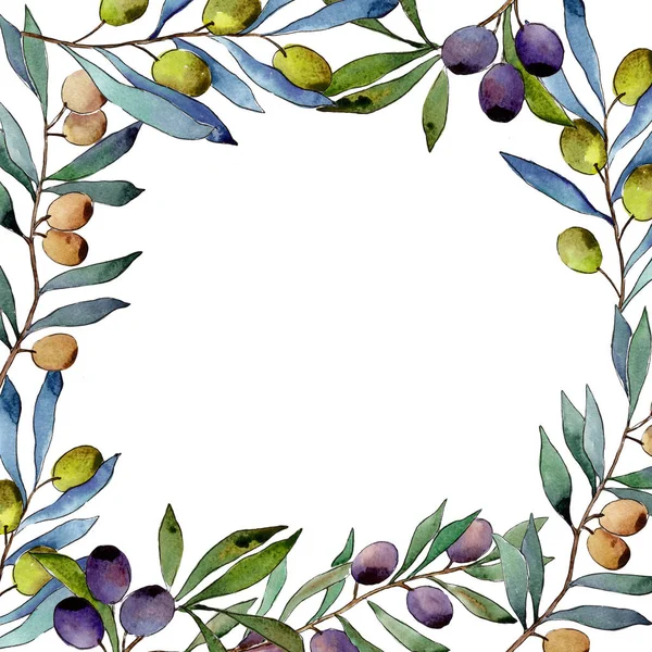 Olive tree frame in a watercolor style.