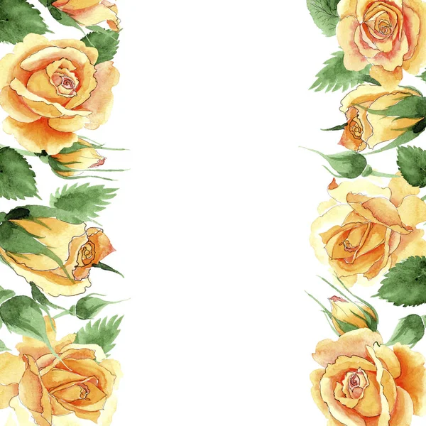 Wildflower żółta herbata hybrydowe róże kwiaty ramka w stylu przypominającym akwarele. — Zdjęcie stockowe