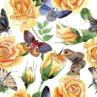 Kır çiçeği sarı çay-hibrid gül çiçek deseni suluboya tarzında.