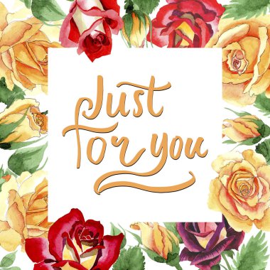 Kır çiçeği sarı çay-hibrid gül suluboya tarzında çerçeve çiçek.