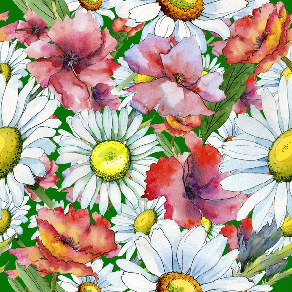 Wildflower χαμομήλι λουλούδι μοτίβο σε στυλ υδροχρώματος. — Φωτογραφία Αρχείου