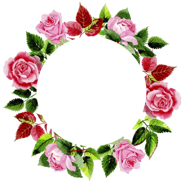 Leaves of rose wreath in a watercolor style. — Stock Photo, Image