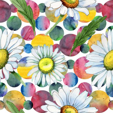 Kır çiçeği papatya çiçek deseni suluboya tarzında.