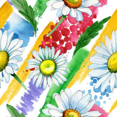 Kır çiçeği papatya çiçek deseni suluboya tarzında.