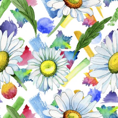 Kır çiçeği papatya çiçek deseni suluboya tarzında.