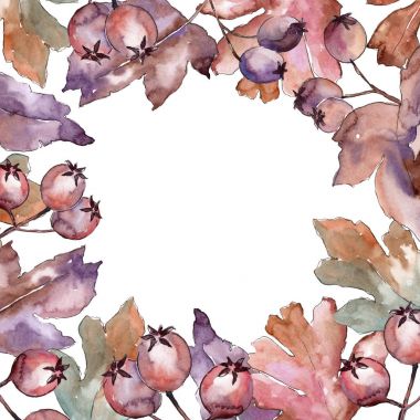 Alıç çerçeve suluboya tarzında yaprakları.