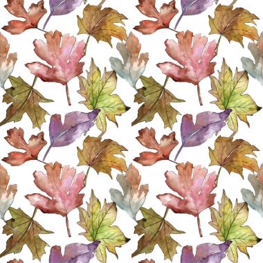 Alıç desen suluboya tarzında yaprakları.