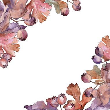 Alıç çerçeve suluboya tarzında yaprakları.