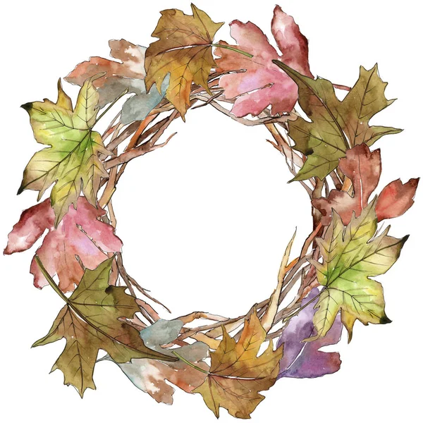 Leaves of hawthorn wreath in a watercolor style. — Stock Photo, Image
