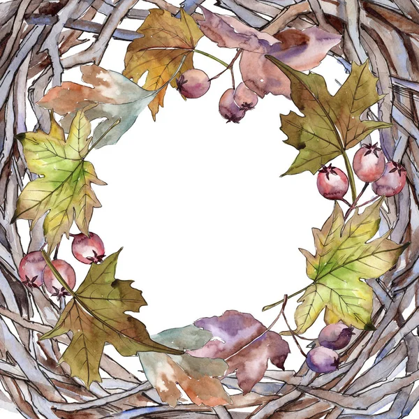 Bladen av hagtorn ram i akvarell stil. — Stockfoto