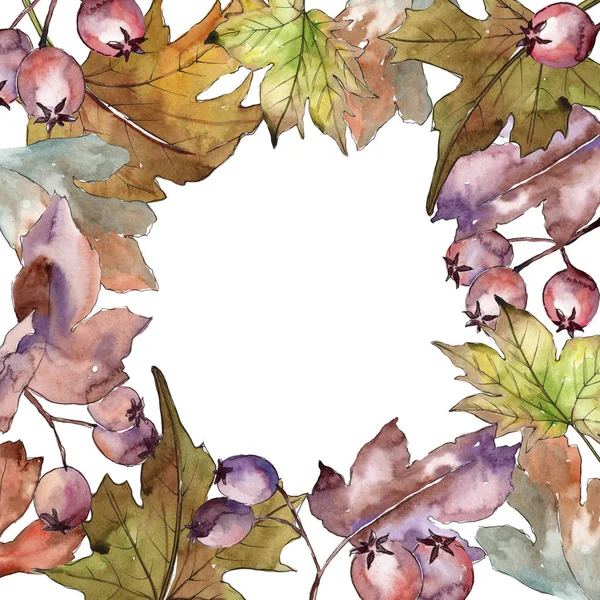 Leaves of hawthorn frame in a watercolor style.