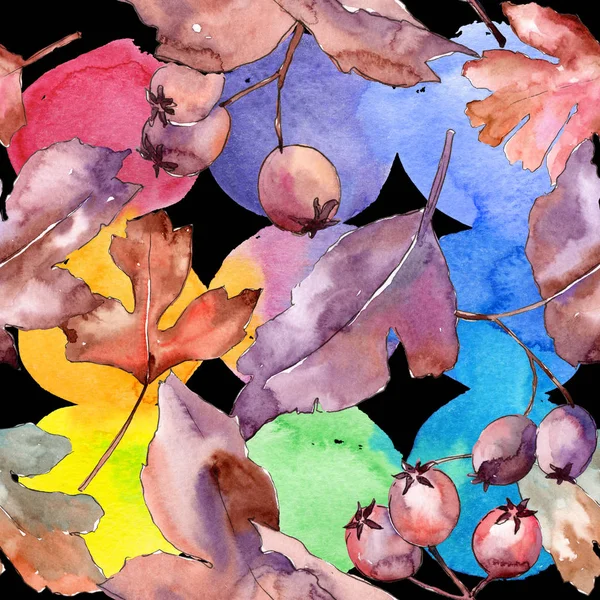 水彩画のサンザシ パターンの葉. — ストック写真