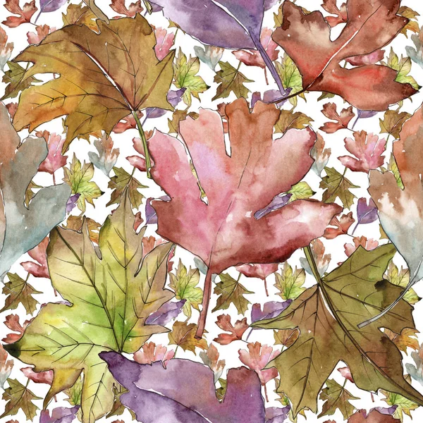 Leaves of hawthorn pattern in a watercolor style. — Stock Photo, Image