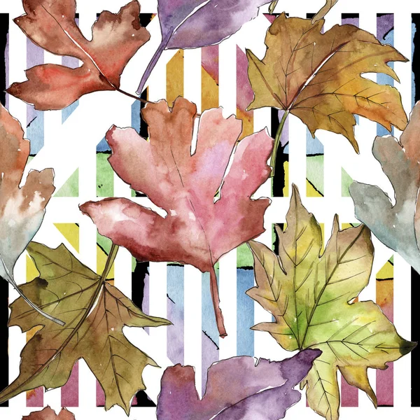 Leaves of hawthorn pattern in a watercolor style. — Stock Photo, Image