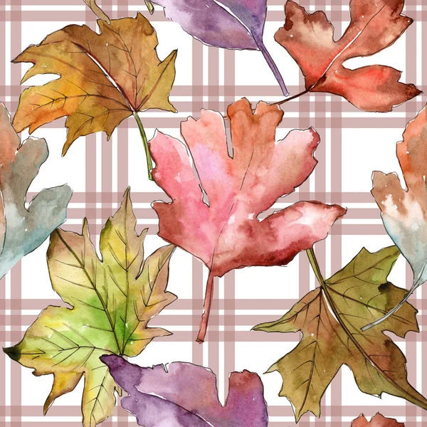 Leaves of hawthorn pattern in a watercolor style. — Stock Photo, Image