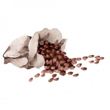 İzole bir suluboya tarzı kahve evi.