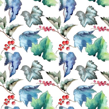 Frenk üzümü desen izole bir suluboya tarzında bırakır..