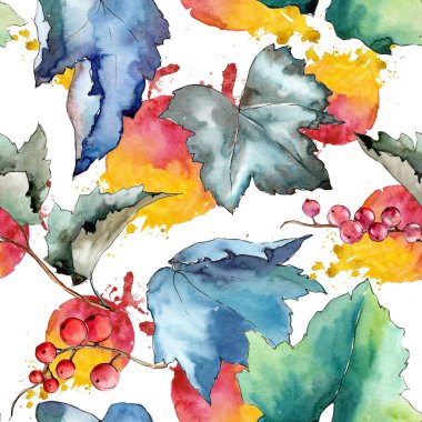 Frenk üzümü desen izole bir suluboya tarzında bırakır..