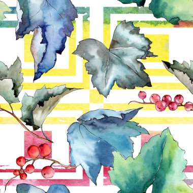 Frenk üzümü desen izole bir suluboya tarzında bırakır..