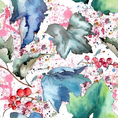 Frenk üzümü desen izole bir suluboya tarzında bırakır..