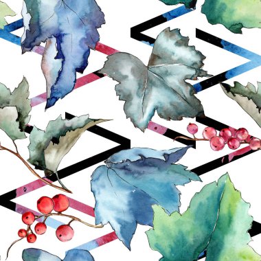 Frenk üzümü desen izole bir suluboya tarzında bırakır..