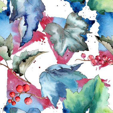 Frenk üzümü desen izole bir suluboya tarzında bırakır..