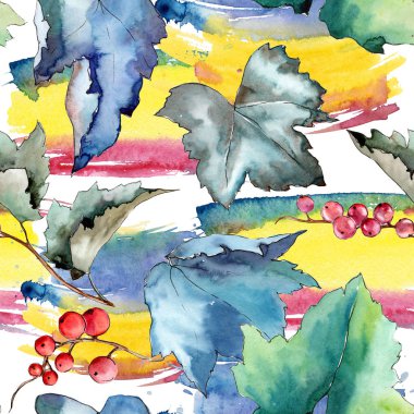 Frenk üzümü desen izole bir suluboya tarzında bırakır..