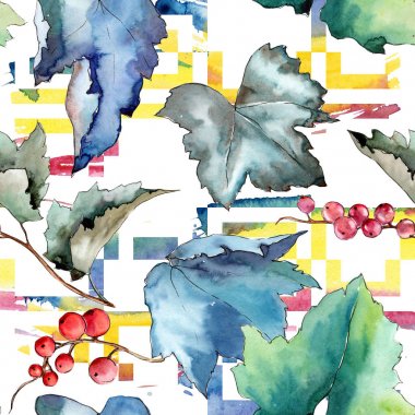 Frenk üzümü desen izole bir suluboya tarzında bırakır..