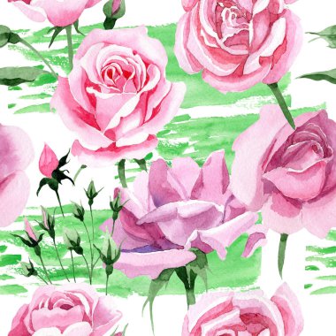 Kır çiçeği pembe çay rosa çiçek deseni suluboya tarzında.