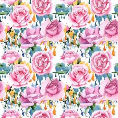 Kır çiçeği pembe çay rosa çiçek deseni suluboya tarzında.