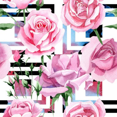 Kır çiçeği pembe çay rosa çiçek deseni suluboya tarzında.