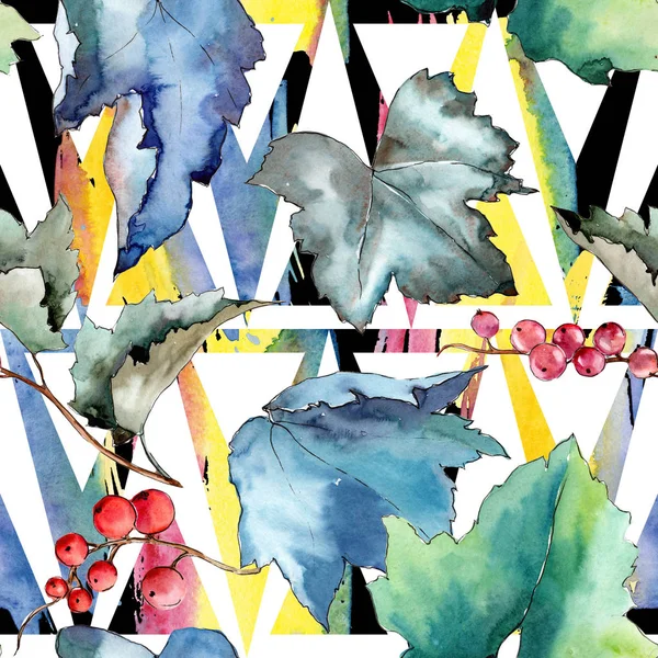 Frenk üzümü desen izole bir suluboya tarzında bırakır..