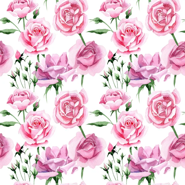 Fleurs sauvages rose motif de fleurs de rosa de thé dans un style aquarelle . — Photo