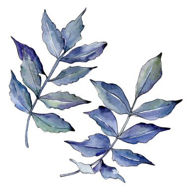 İzole bir suluboya tarzında kül bırakır.